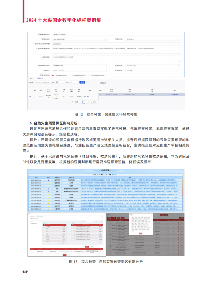 2024十大央国企数字化标杆案例集图片