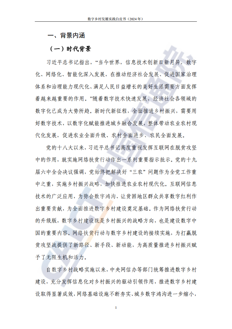 数字乡村发展实践白皮书（2024）图片