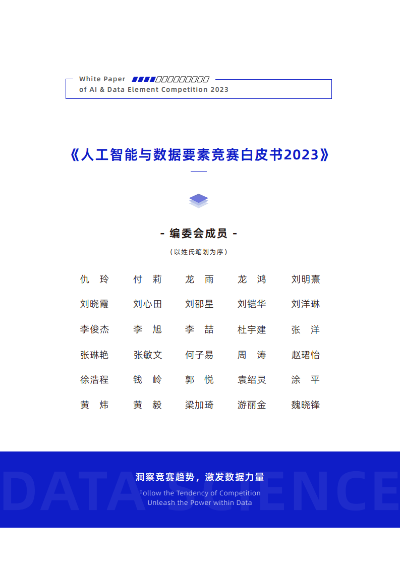 人工智能与数据要素竞赛白皮书2023图片