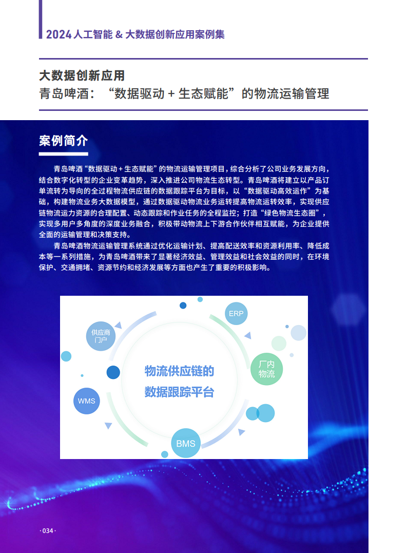 2024人工智能大数据创新应用案例集图片