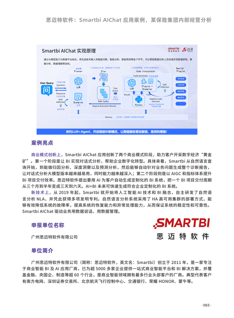 2024人工智能大数据创新应用案例集图片